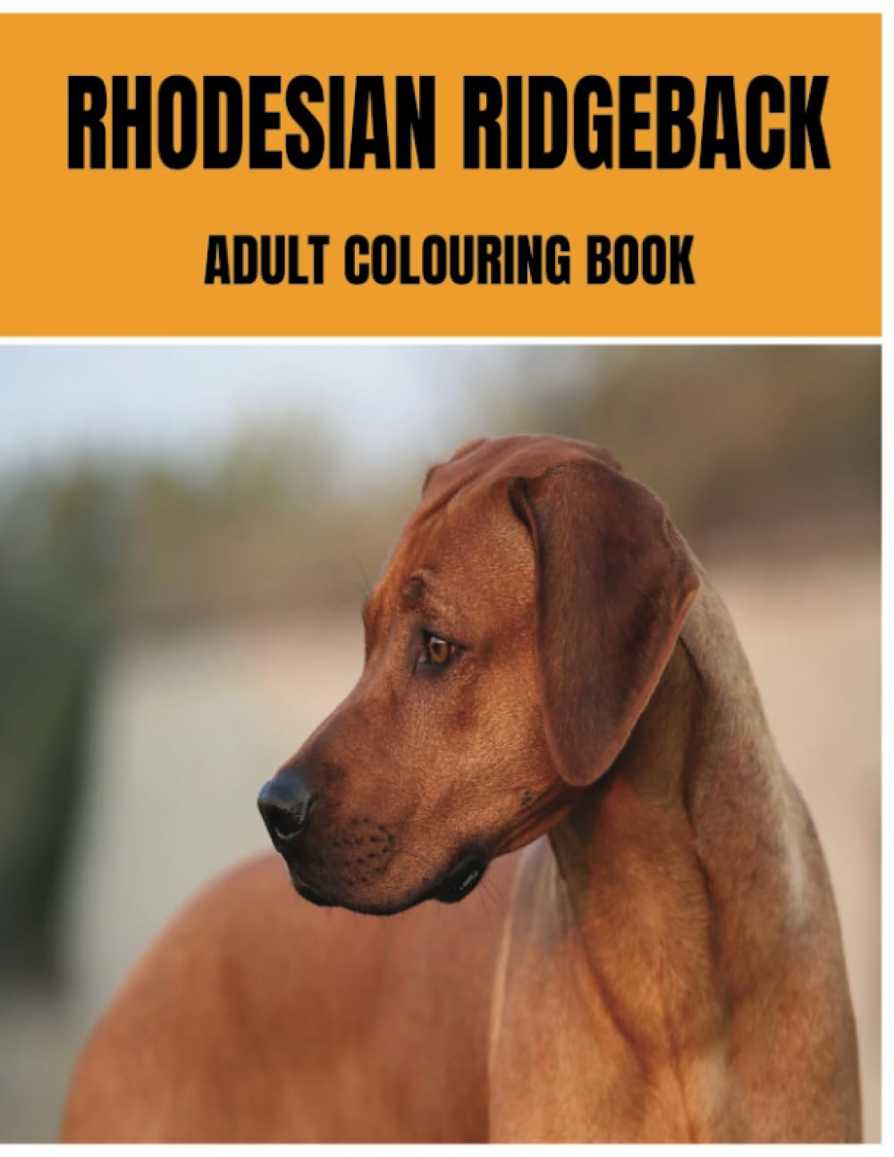 Rhodesian Ridgeback Colouring Book