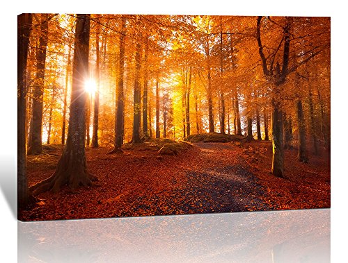 Spirit Up Art Modern Giclee Prints Framed Natural Landscape Artwork Autumn Sunlight Forest Picture Print to Photo Printed Paintings on Canvas Wall Art Decor for Home Office Decorations 12 by 16 inch
