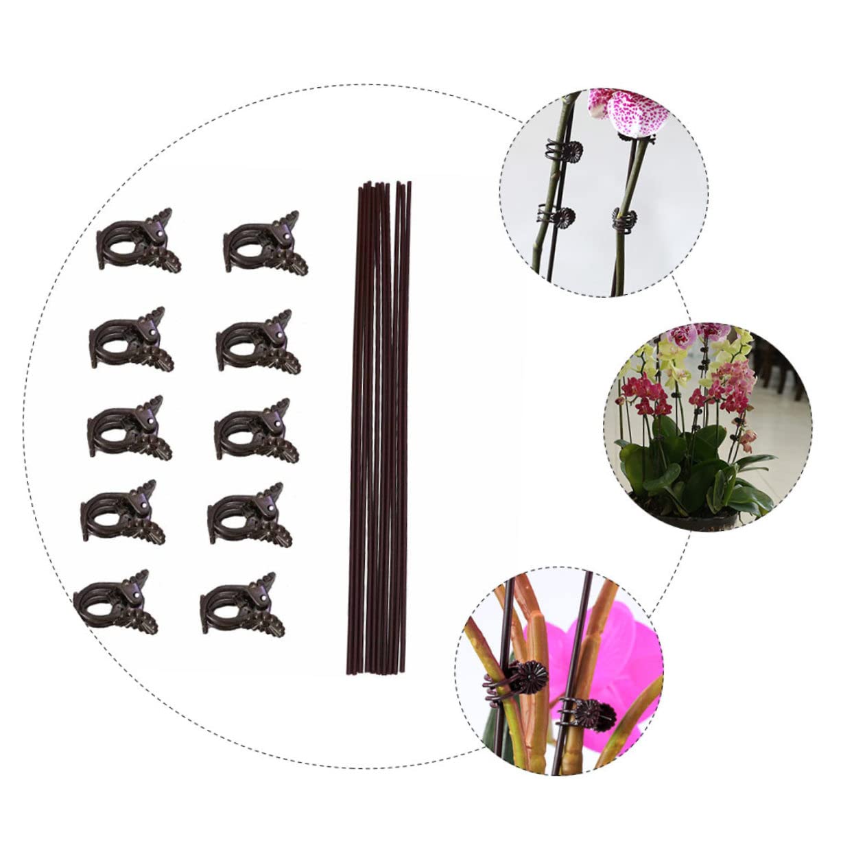 UPKOCH 2 Sätze Teiliges Set Pflanzstützen Clips Mit Eisenstäben Und Klammern Für Kletterpflanzen Wetterfest Wiederverwendbar Zur Unterstützung Von Orchideen Und 20 Stück * 2