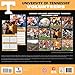 Turner Perfect Timing 2015 Tennessee Volunteers Team Wall Calendar, 12 x 12 Inches (8011606)