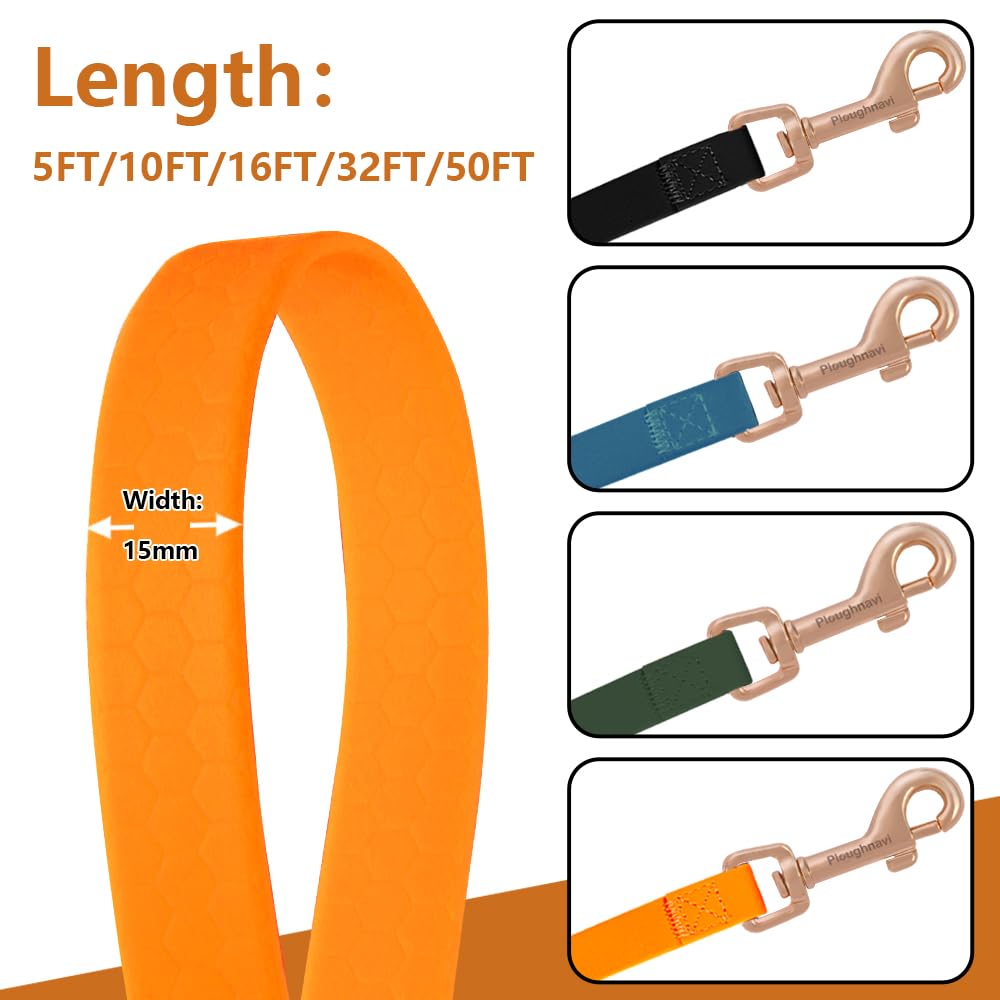 Laisse de Dressage et Longe Pratique et Imperméable pour Extérieur