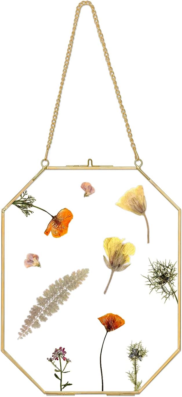 Wall Hanging Gold Brass Photo Frame, Double Clear Floating 8x10 Inches Octagon Geometric Herbarium Glass Frame for Dried Flowers, Pressed Flowers, Plants , Specimen Picture Frame Modern Home Decor