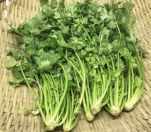 パクチー 100gの人気商品 通販 価格比較 価格 Com