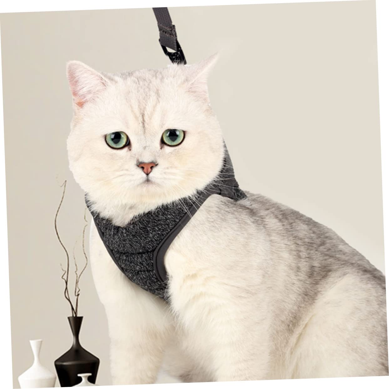 FRCOLOR 3stücke Leichtes Katzengeschirr Für Kleine Katzen Atmungsaktiv Und Komfortabel Verstellbare Brustgurte Für Outdoor-aktivitäten s