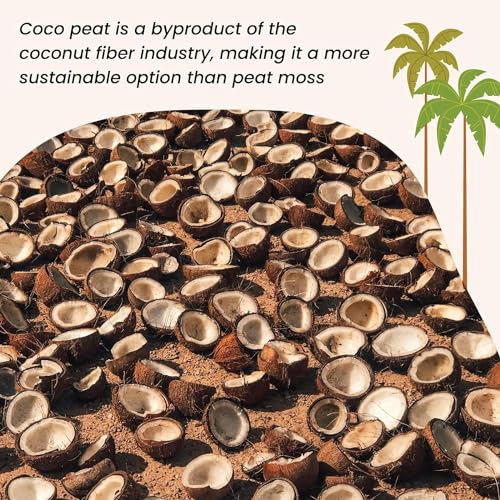 Image of 100% Natural COCOPEAT Block 1KG for Home Garden | Organic Soil for Potted Plants, HYDROPONICS, Kitchen & Terrace Gardens | EXPANDS Upto 5L of Powder | 1 KG