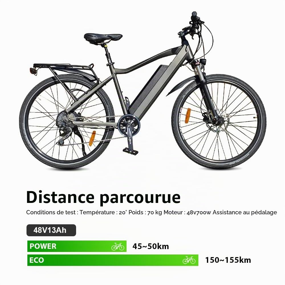 REENTION Dorado-Plus Batterie de Vélo Électrique 48V 13Ah