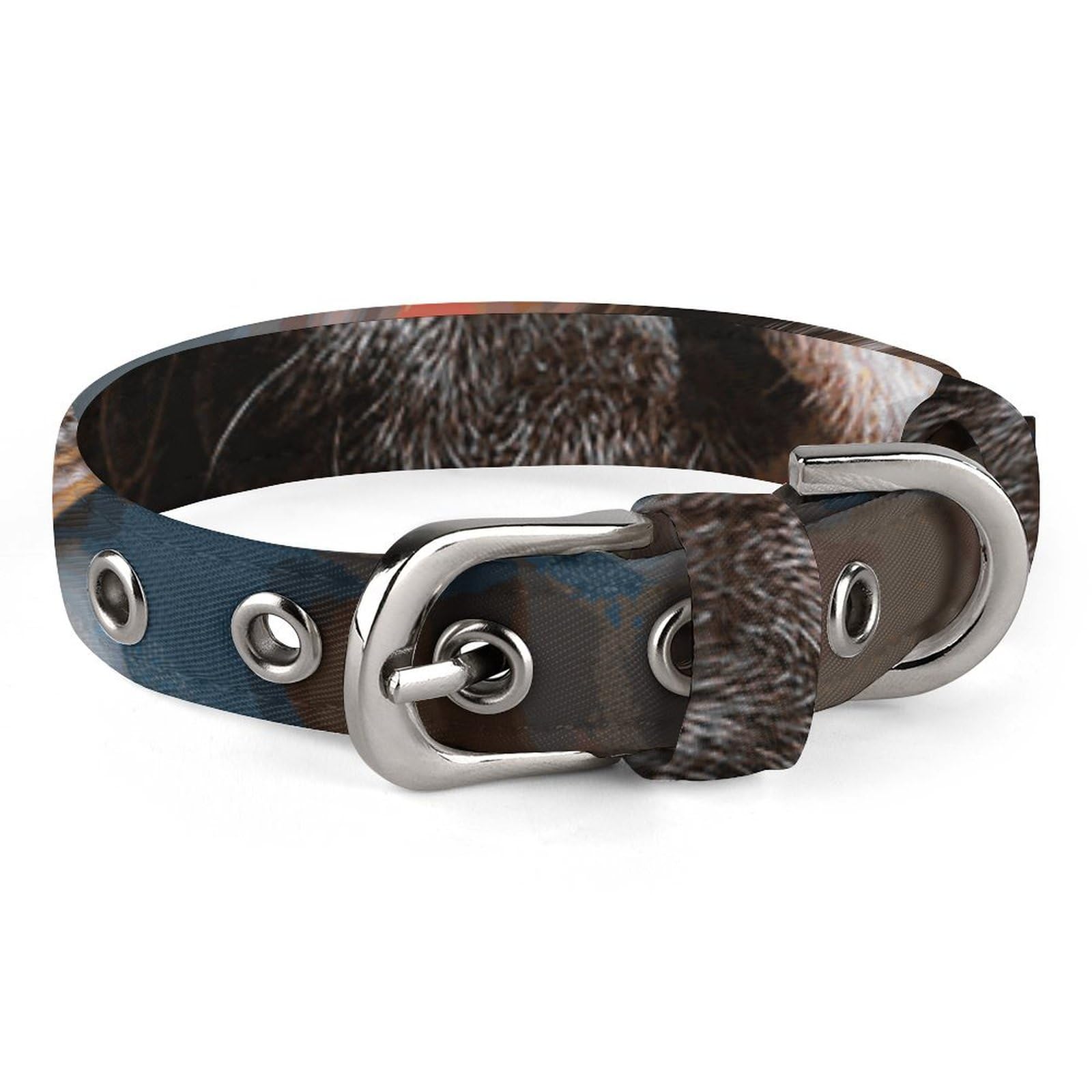 Collier pour animaux de compagnie idéal pour les balades en ville