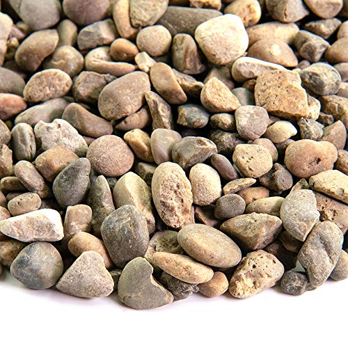 Landscape Rock and Pebble | 20 Pounds | Natural, Decorative Stones and Gravel for Landscaping, Gardening, Potted Plants, and More (Ironwood, 3/8 Inch)