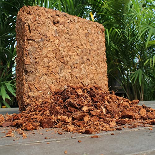 Coco Chips y Fertilizante Kelp Bliss para Plantas miniatura 3