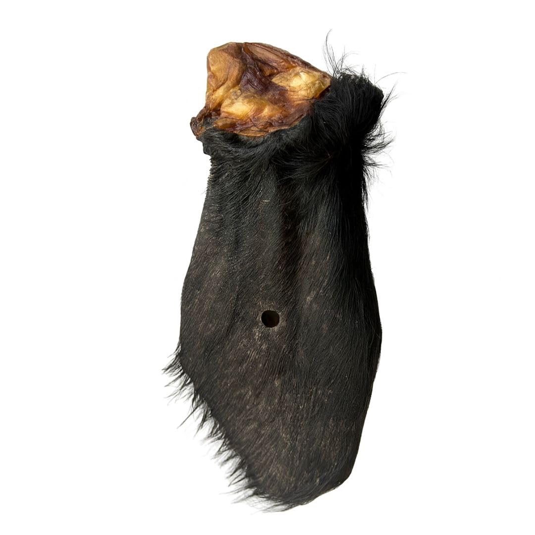 ANIMALUJOS-Snacks Naturales para Perros – Pack 10 Orejas de Ternera con Pelo o sin Pelo – 100% Natural, Bajo en Grasa, Rica en Colágeno y Fibra (10 Unidades, Oreja Ternera con Pelo)