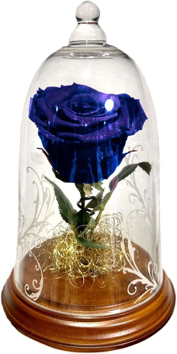 Amazon｜Lulu's ルルズ ダイヤモンドローズ ガラスドーム エクセレント