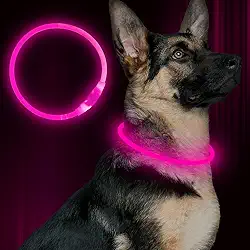 Coleira LED para cães, BSEEN USB, recarregável, para cães, leve, coleira de segurança para animais de estimação faz com que seus amados cães sejam vistos à noite para cães pequenos, médios e grandes