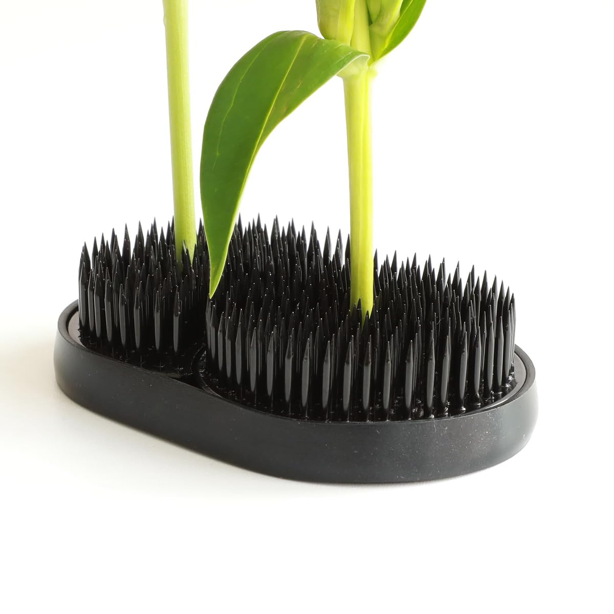 Wazakura Ikebana Kenzan Soleil et Lune - Outil Fabriqué au Japon - Support de Fleurs Japonais Couleur Noir pour Arrangement Floral, Oasis, Grenouille