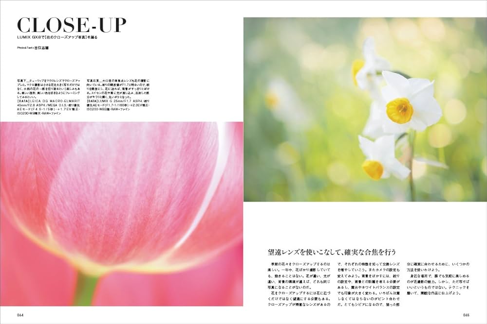 パナソニック LUMIX GX8 マニュアル—ルミックス一眼史上最高画質でとっておきの瞬間を写す! (日本カメラMOOK) p706p5g Amazon.co.jp: パナソニック LUMIX GX8 マニュアル―ルミックス