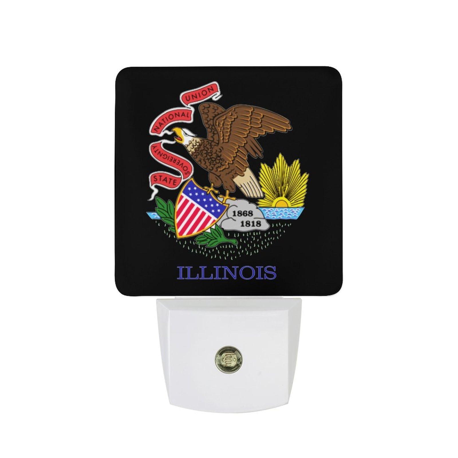 Nqrxadcrt Style Illinois State Flag Night Light Plug In Wall Lights Bedside Lamp Bedrooms Home Hallways Decoration