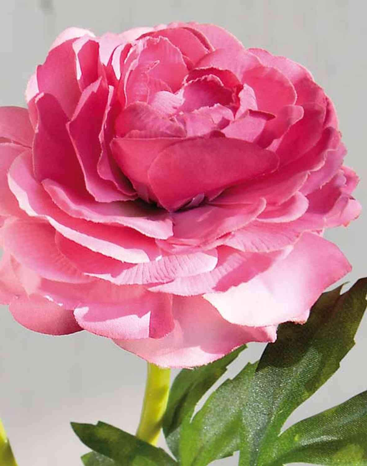 Je Cherche Une Jolie Renoncule Rose Artificielle Chic Antique De Qualité