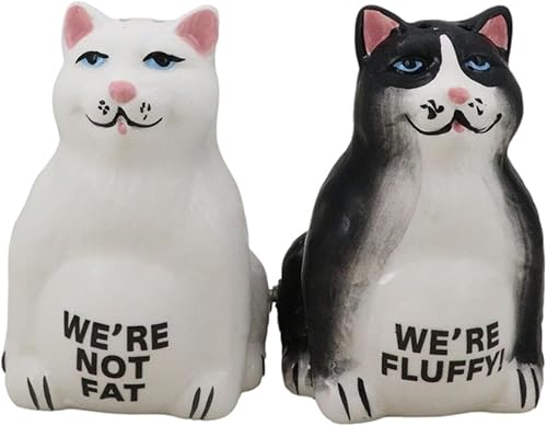 Ebros Gift Feline - Juego de figuras magnéticas de cerámica con diseño de gatos esponjosos, salero y pimentero, 3.25 pulgadas de alto, diseño de
