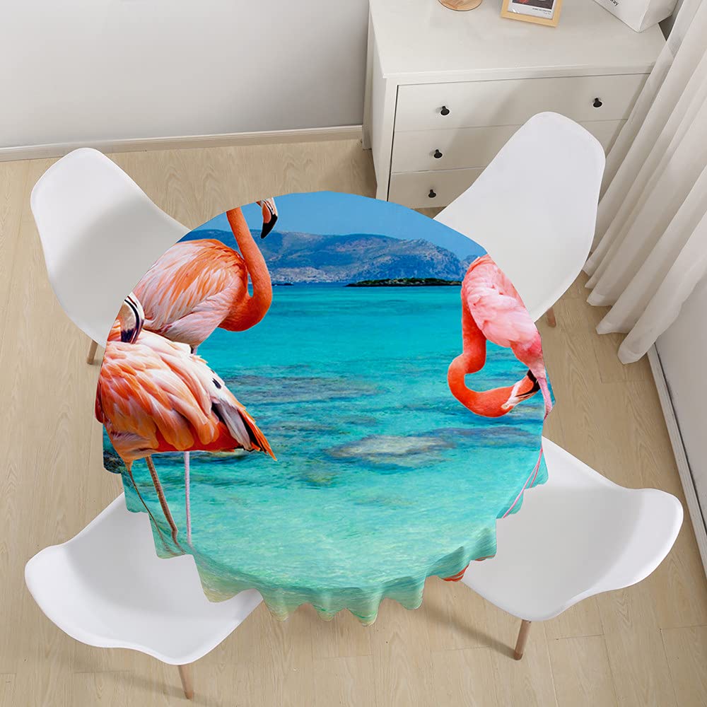 Highdi Nappe Ronde Motif Flamant Rose Anti Tache Nappe De | FindTheDeal
