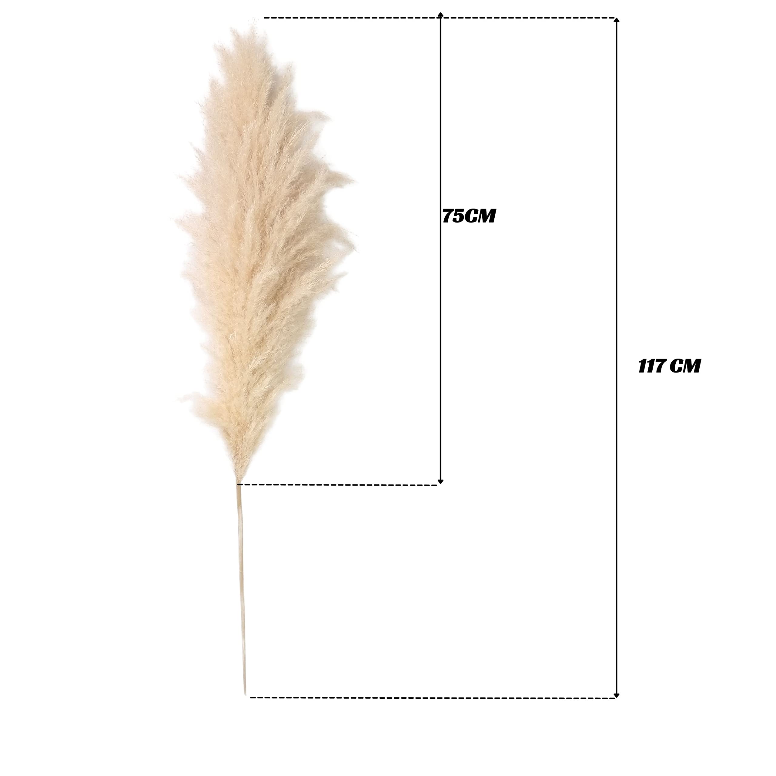 Flores pozos secos naturales de gran tamaño en ramo de 117 cm,3 hierbas de la popa que llenan tu jarrón para mujer, decoración para casa, salón de cocooning bohemio