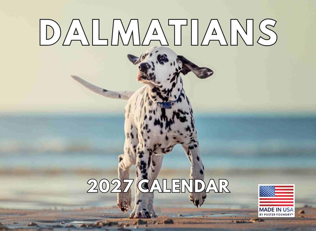 Dalmatian Calendar 2025 Wall Monthly | American Made In The USA โ image 1
