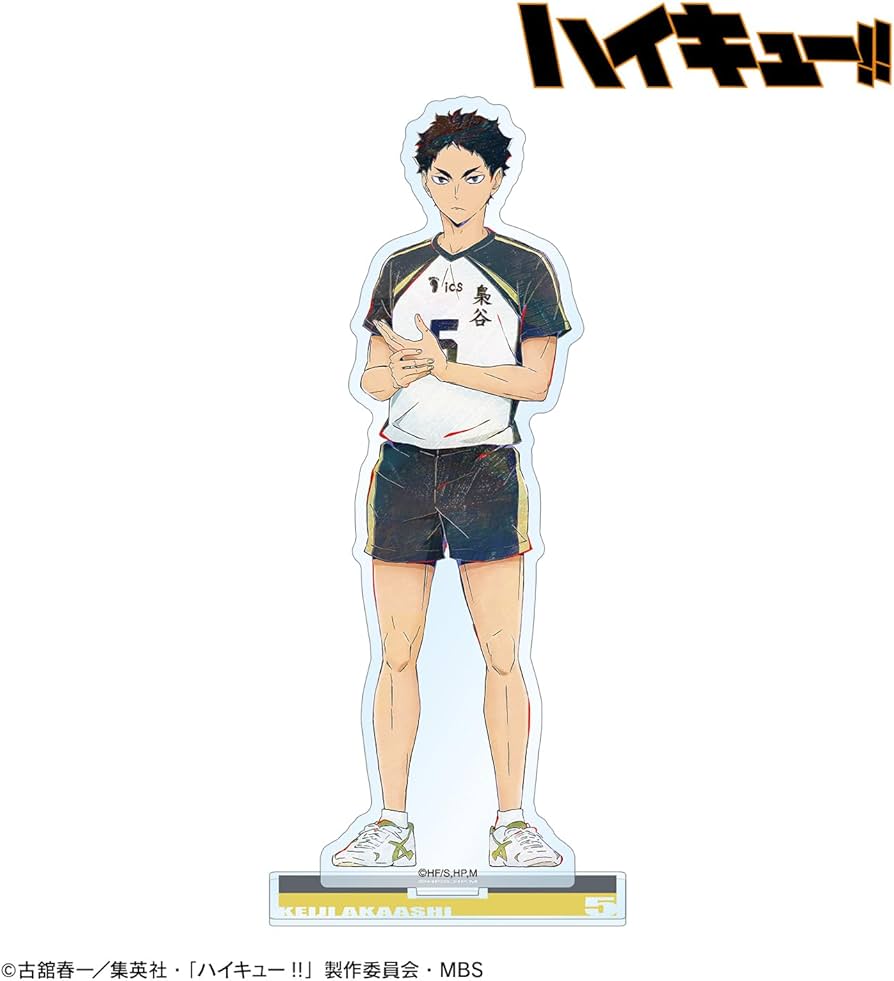 Amazon.co.jp: アルマビアンカ(Armabianca) ハイキュー!! 赤葦京治 Ani