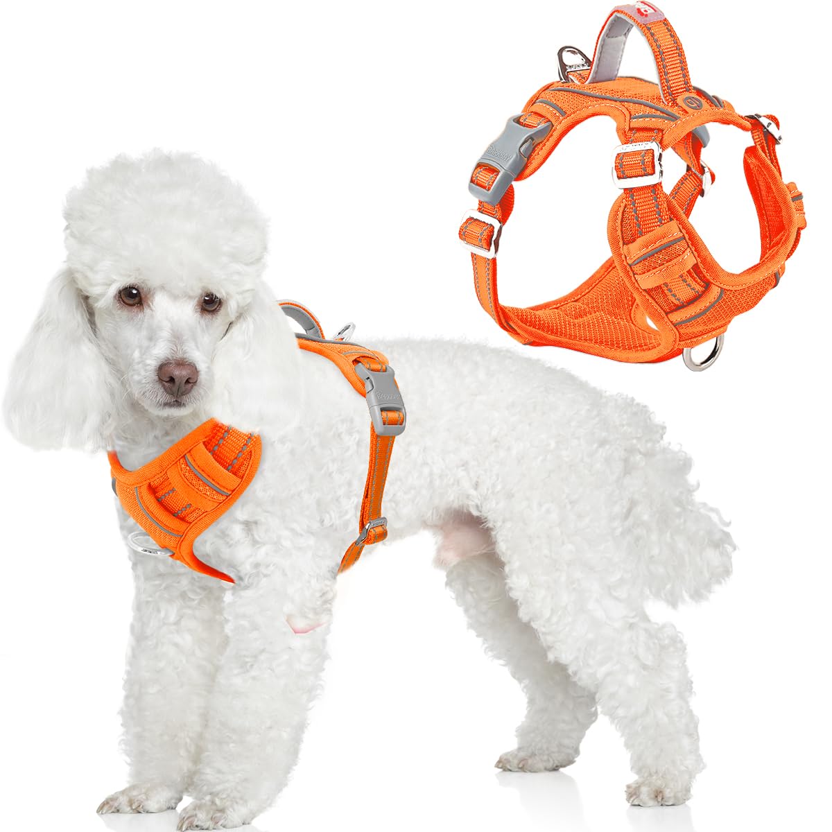 BARKBAY - Anti-pull dog harness for small dogs, dog vest with — image 1