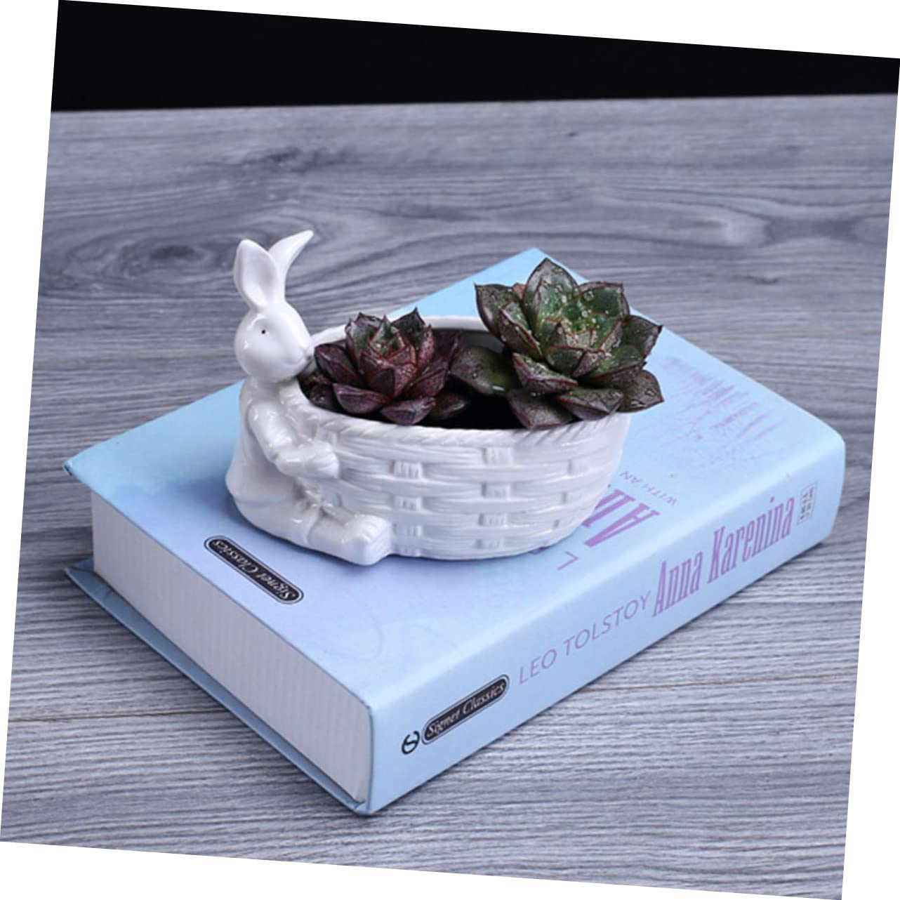 Amazon.co.jp: GANAZONO ウサギ多肉植物プランターポット 多肉植物用