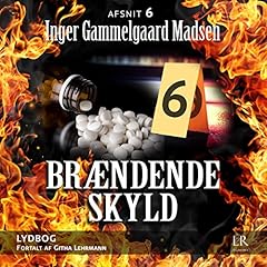 『Br&aelig;ndende skyld 6』のカバーアート