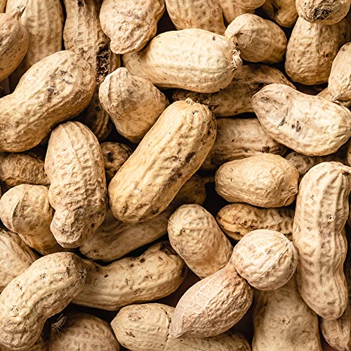 Image of Pro Nature 100% Organic | Groundnut Oil 1l � 3