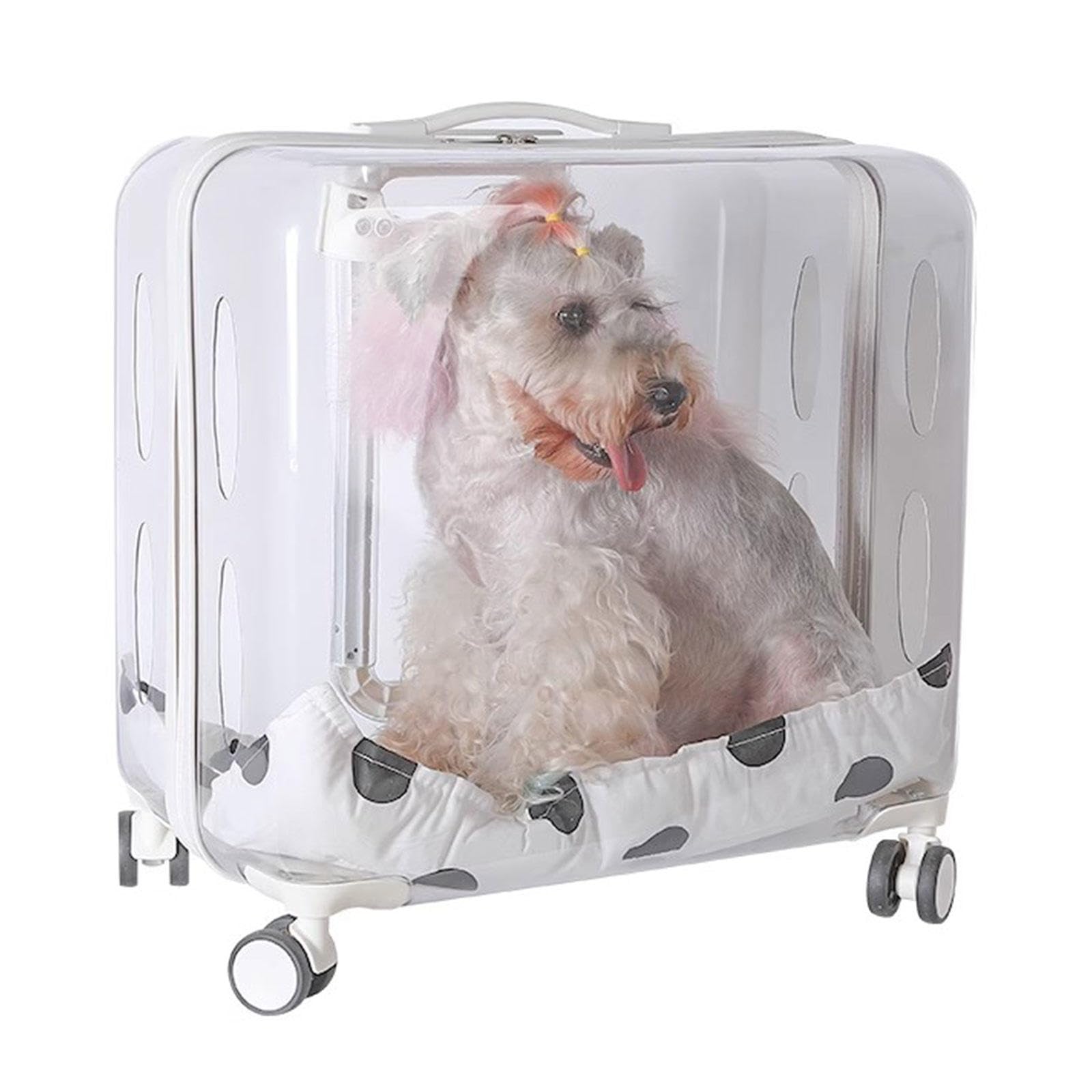BWCKMTSC BWCKMTSC Mochila Transportín para Mascotas con Ruedas para Perros Gatos, Estuche con Ruedas para Transportador Espacial con Cápsula de Burbujas Transparente y Totalmente Transpirable para
