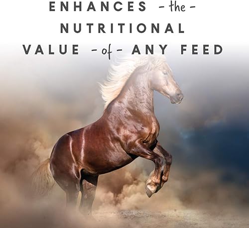 Vista 3 de Manna Pro Sho-Glo Suplemento para caballos - Suplemento completo de vitaminas y minerales para una piel y pelaje saludables - 25 libras