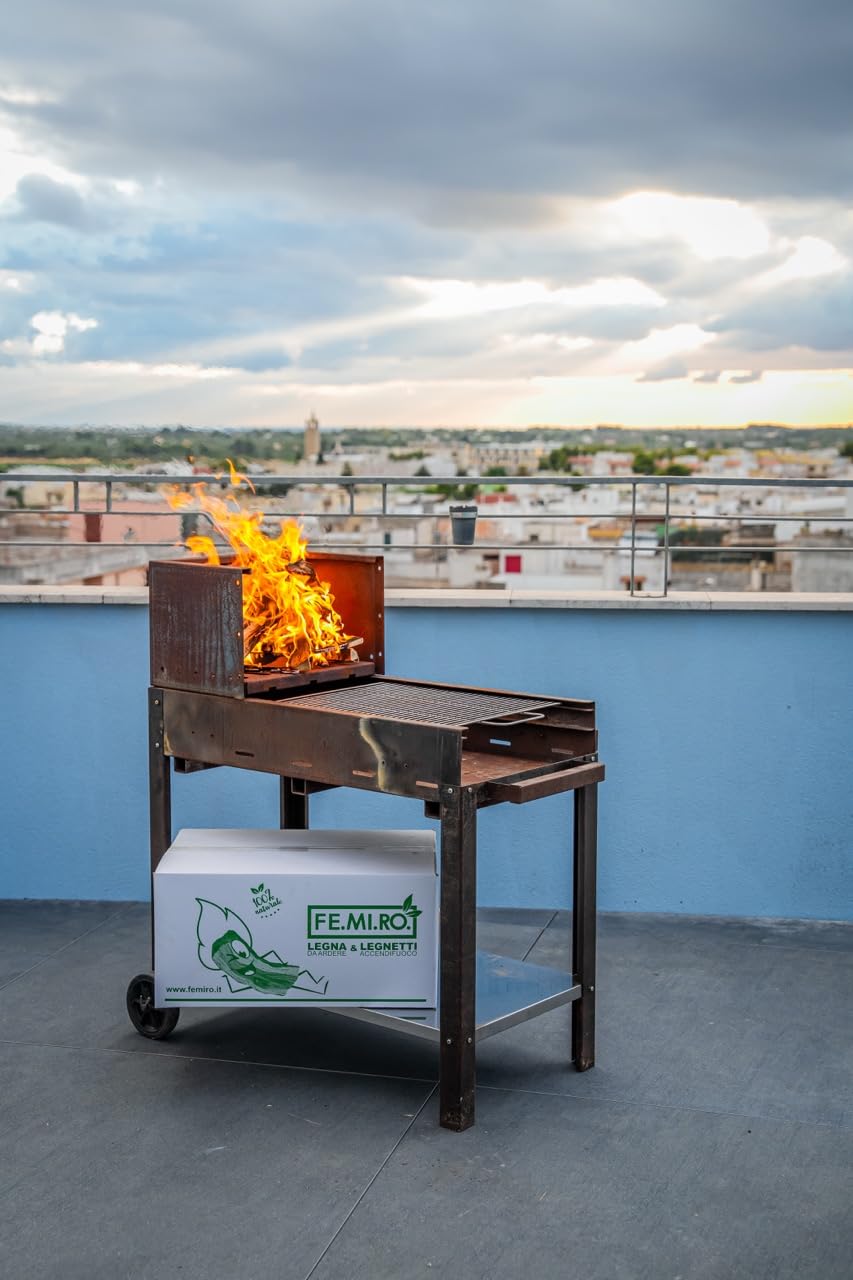 Legna da Ardere di Olivo in Scaglie BIGCHIPS in Scatole da 20 kg – Accendi Camino e Mantenimento Fiamma – Per Camino, Stufa, Forni, Pizzerie e Barbecue – Fornitura 20 kg