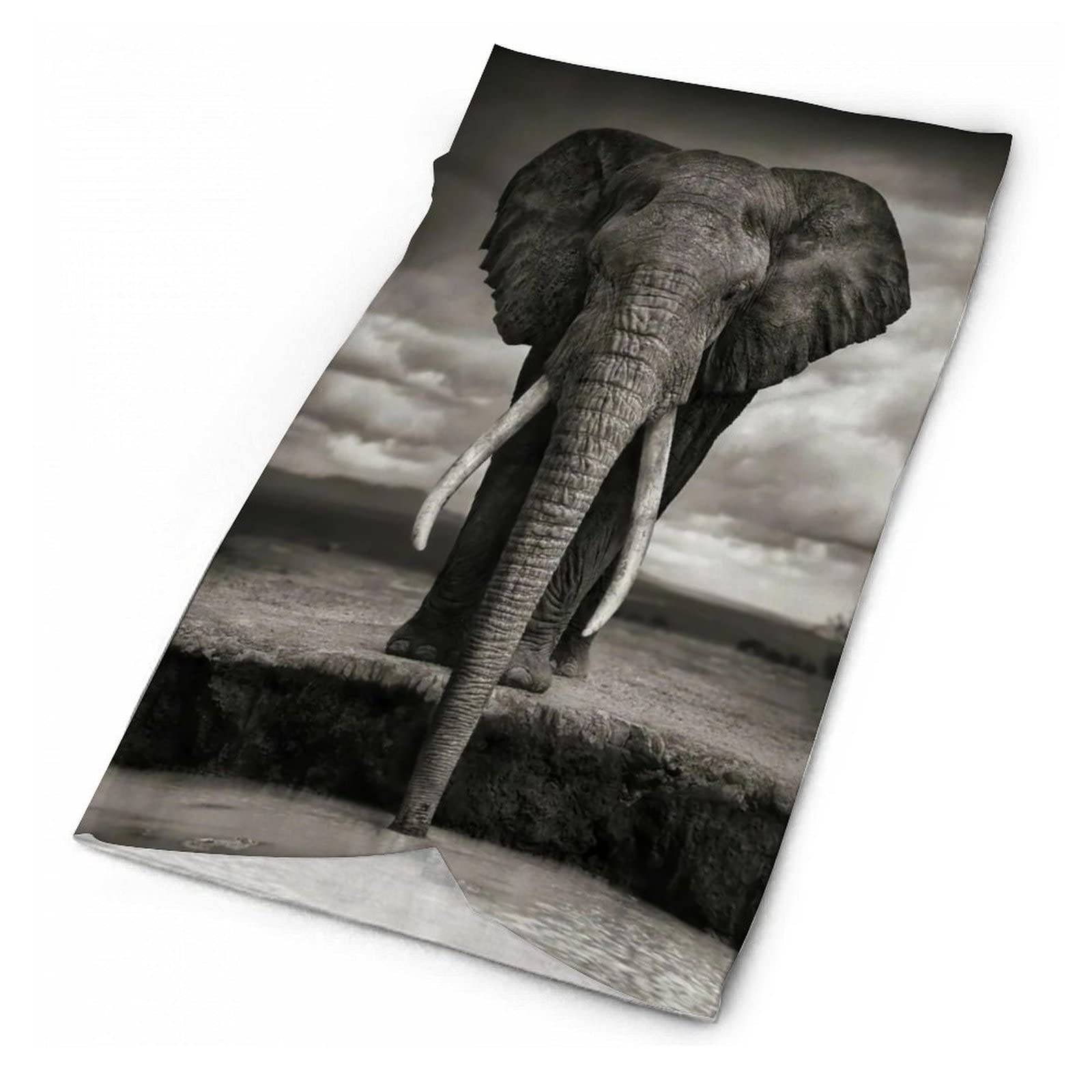 Scarf Mask Wildlife Elephant Animal Head Scarf for Adult Face Coverings for Men Gaiter Mask Gator Mask Headwear Bandana Head Wrap Face Scarf for Sports One Size