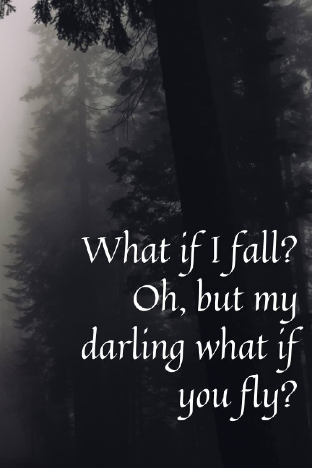 What if I fall? Oh but my darling what if you fly?