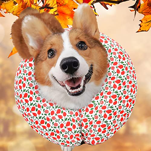 Image of Protective Inflatable Collar for Dogs and Cats - Soft Pet Recovery Collar Does Not Block Vision, Prevents Pets from Touching Stitches, Wounds and Rashes (Floral - 1, Neck 13 inch - 17 inch)