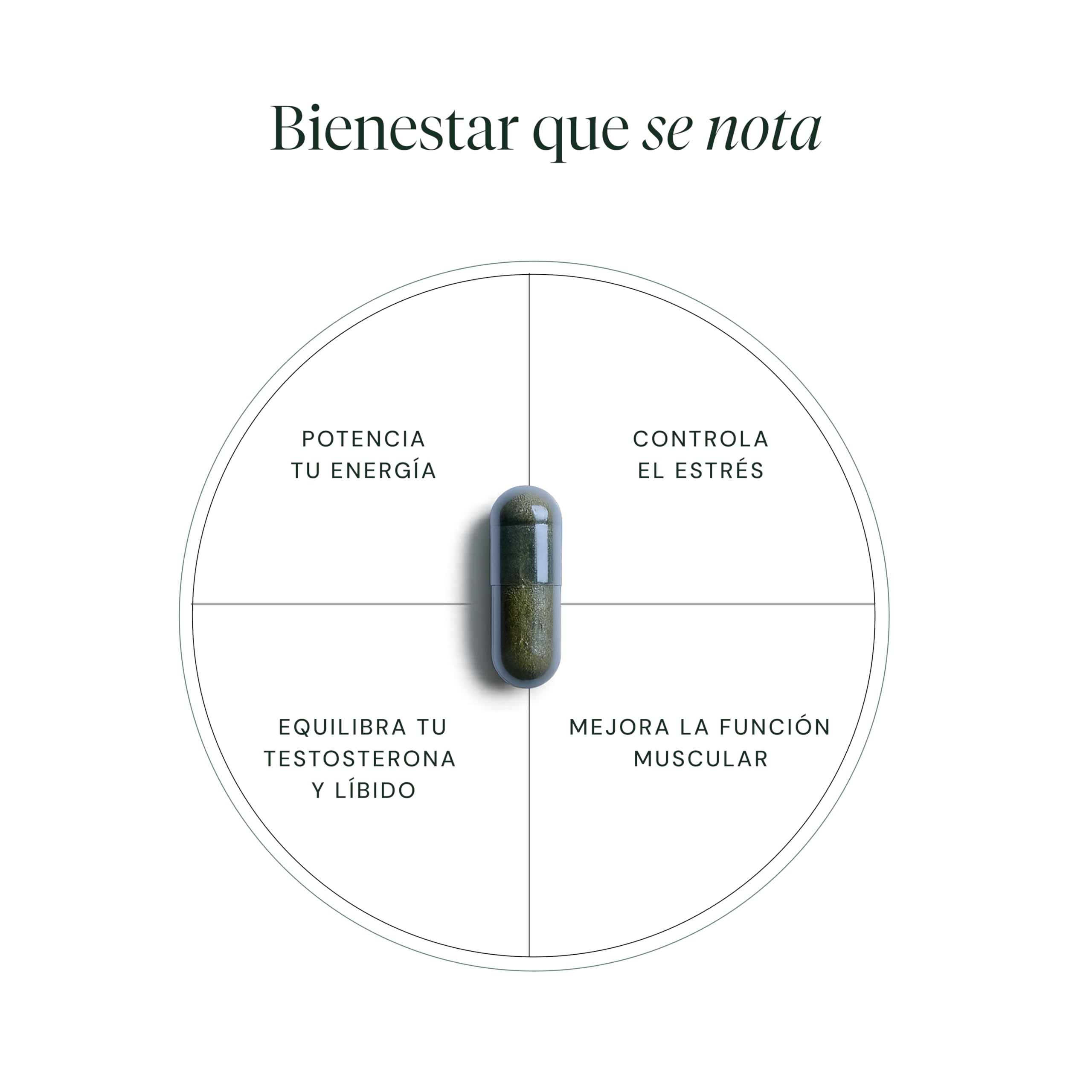 HIFAS DA TERRA - Suplemento de Hongos Optimum Men con Extracto de Hongos Cordyceps y Reishi - Refill 60 Cápsulas