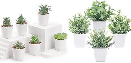 Un paquete de 6 plantas falsas suculentas y 4 paquetes de plantas falsas mini plantas artificiales en maceta para decoración del hogar interior