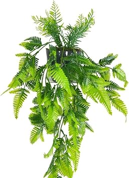 Yapay Çiçek Sarkan Boston Fern Yapraklı Bitki Küçük Siyah Saksıda Yapay Sarmaşık 55cm