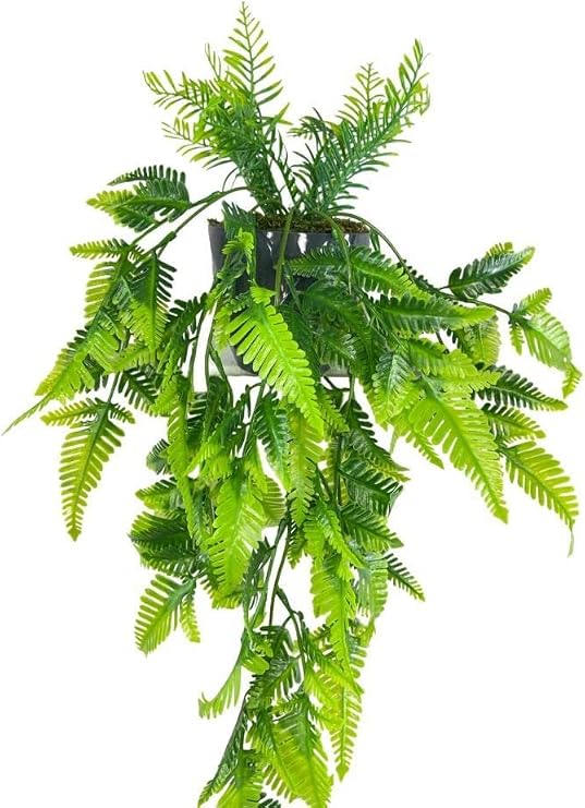 Yapay Çiçek Sarkan Boston Fern Yapraklı Bitki Küçük Siyah Saksıda Yapay Sarmaşık 55cm