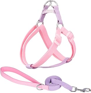 Dog Harness Leash Set,No Pull Small Dog Harness and Leash,Double Adjustable Band Nylon Small Puppy Pet Dog Combo Collar Leash and Harness Set,Pink&Purple S
