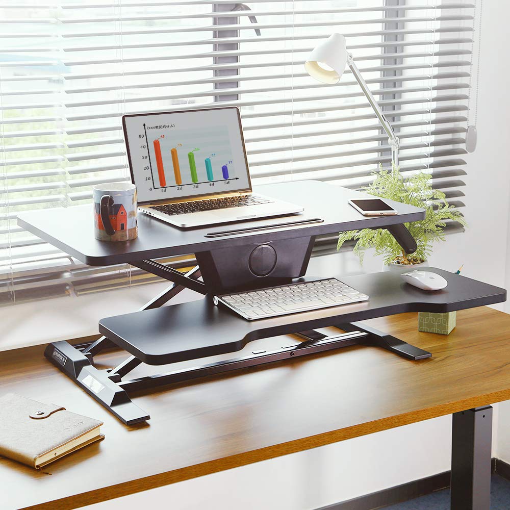Buy EE Eureka Ergonomic Standing Desk Converter, Adjustable Sit Stand