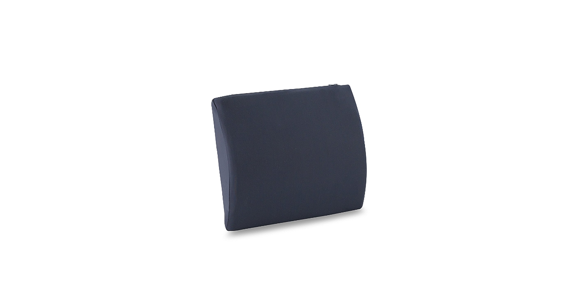 Amazon.com: Tempur-Pedic Pedic Lumbar Cushion,Foam, Blue 15