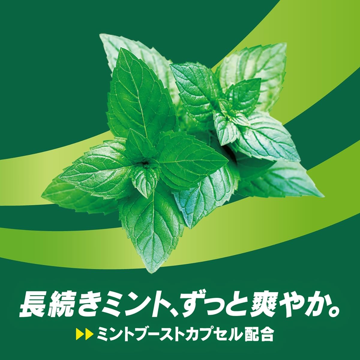 ロッテ　キシリトールガム　ロングミント　ファミリーボトル6個パック×2 Amazon | ロッテ キシリトールガム ロングミント(オリジナルミント