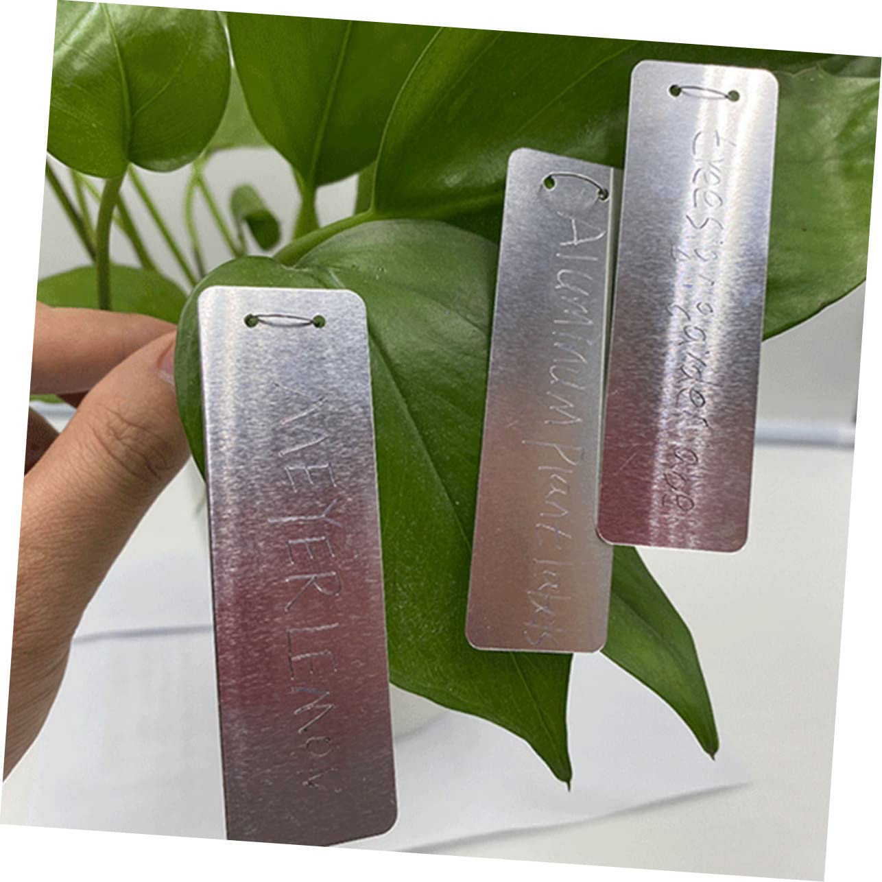 Sosoport 100 Stück Aluminium Pflanzenstecker Wetterfest Pflanzennamensschilder für Garten und Gewächshaus Einfach in Boden zu Stecken Silber