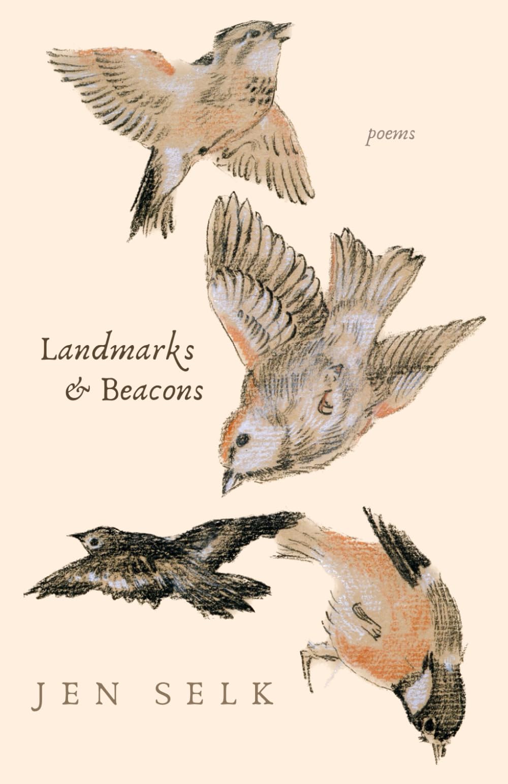 Landmarks and Beacons: poems