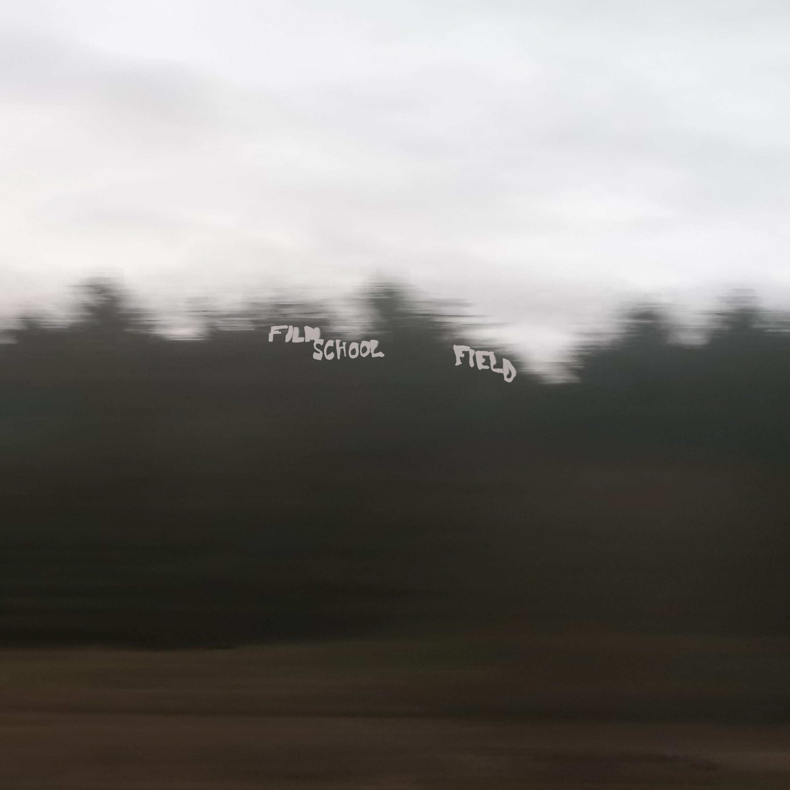 Field [VINYL]