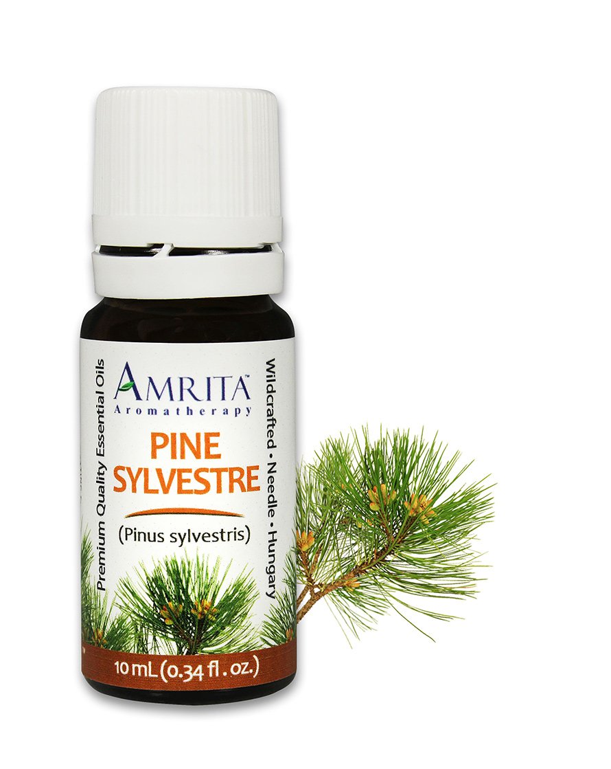 Amrita Aromatherapy Pine Sylvestre Essential Oil, 100% Pure Undiluted Pine sylvestris, Therapeutic Grade, Premium Quality Aromatherapy Oil, Tested &