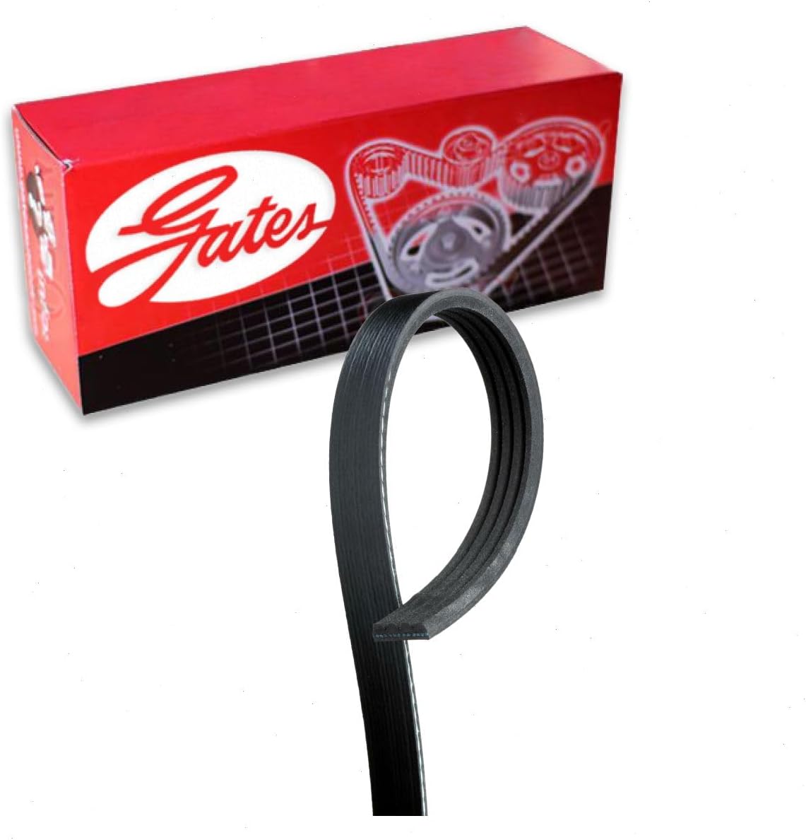 Gates AC Stretch Fit Micro-V Serpentine Belt compatible with Chevrolet Camaro 6.2L V8 2010-2015