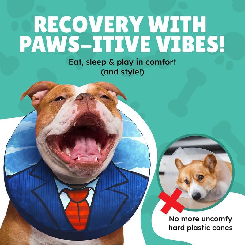 Image of Small Dog Donut Collar - Inflatable Dog Cone Alternative for After Surgery Recovery. Donut Dog Cone Small Size Dog. Inflatable Dog Collars for After Surgery Donut Cone for Dogs. Soft Cone Dog