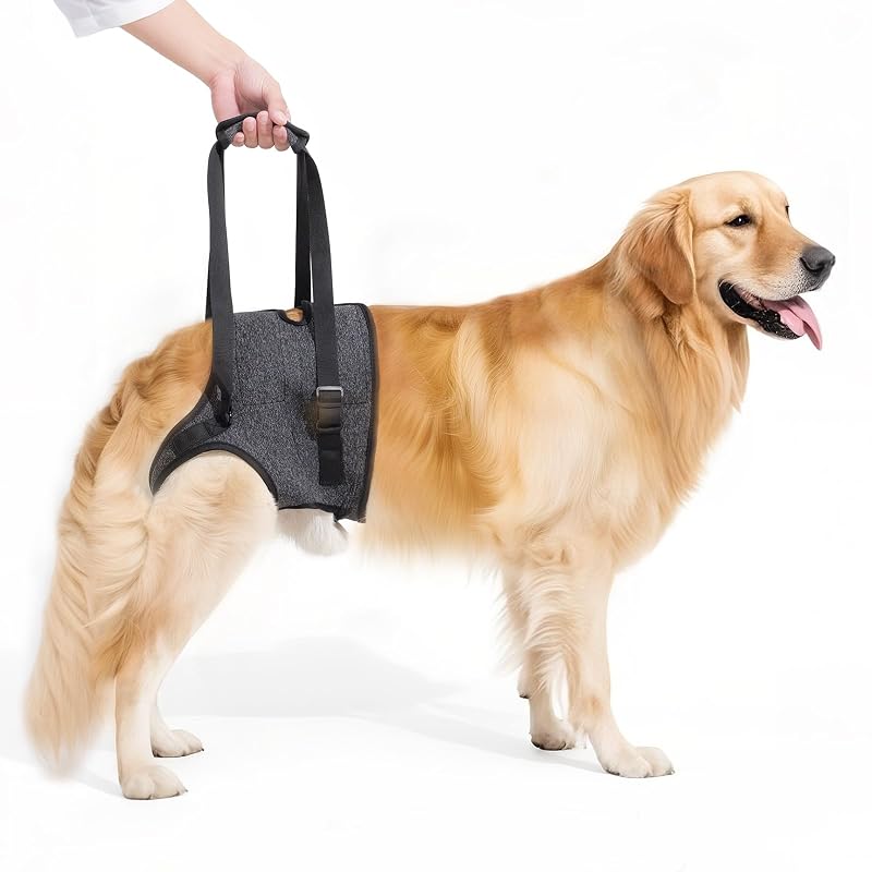 Peitoral tipo cabresto para suporte das patas traseiras de cães, ajustável e acolchoado Lqyom, tamanho Grande (Large)